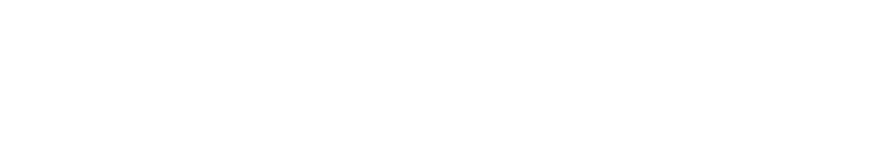 SKAFT. Pro